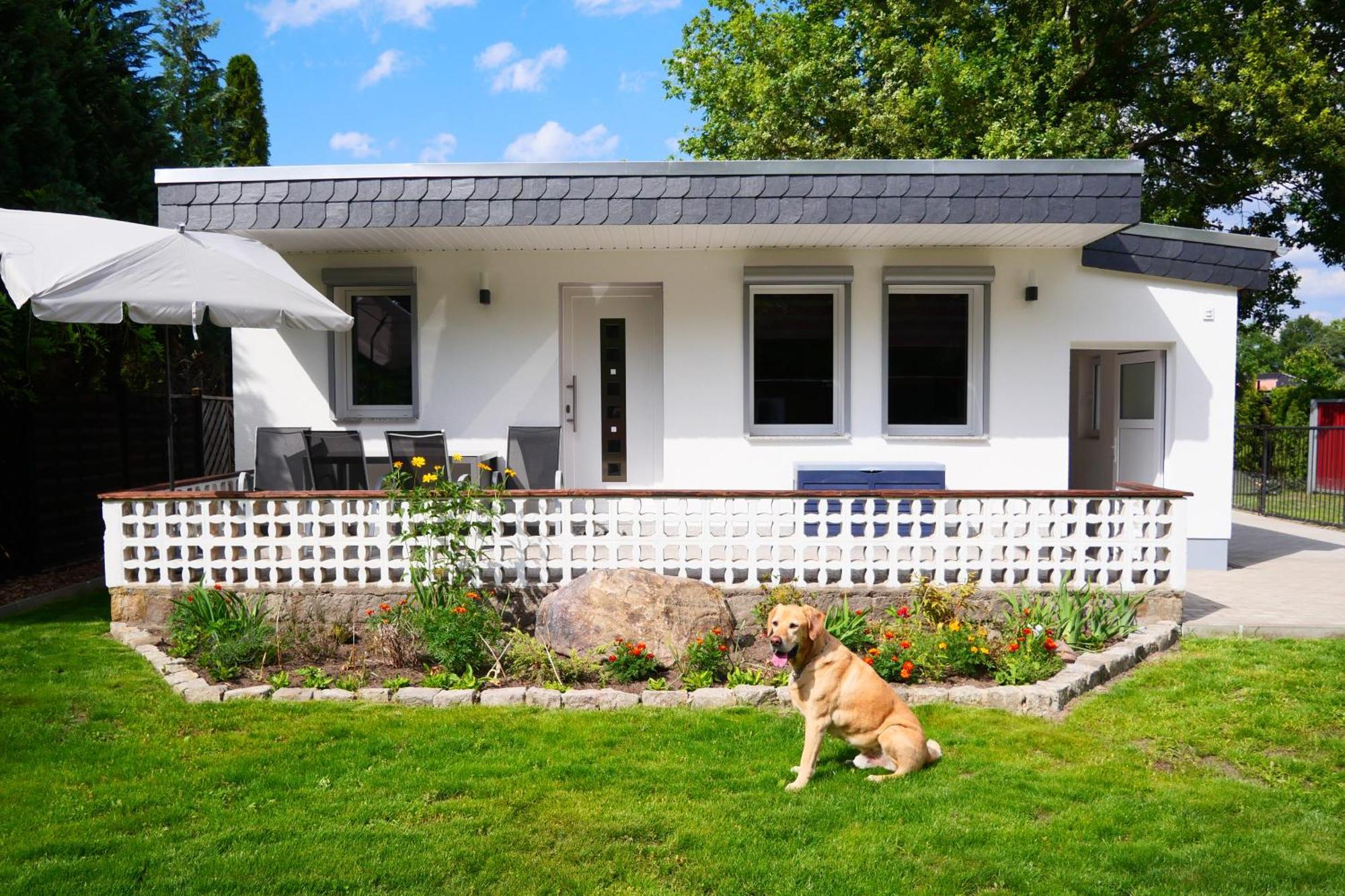 Haus Kleiner Findling Im Lausitzer Seenland Tätzschwitz Exteriör bild